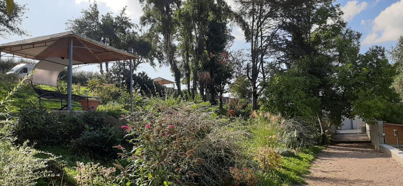 Le Domaine De La Plume Otel La Gimond Dış mekan fotoğraf